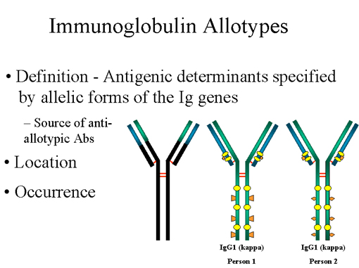 Image result for isotype antigenic determinants