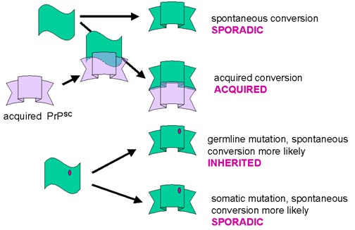 What are examples of sporadic disease?