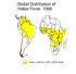 yellowfev-dist.gif (6418 bytes)