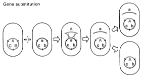 Myers Rearrangement Index of /mayer