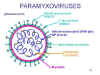 RNA10.jpg (66096 bytes)