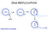 dna18.jpg (224976 bytes)