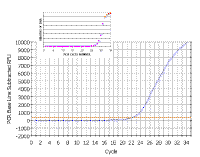 LinearPCRReaction1.gif (22965 bytes)