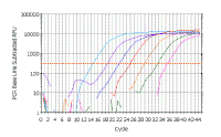 Series_Of_10Fold_Dilutions1.gif (33090 bytes)