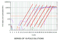 Series_Of_10Fold_Dilutions2.gif (36204 bytes)