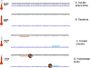 pp-pcr2.gif (9025 bytes)