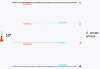 pp-pcr4.gif (4063 bytes)