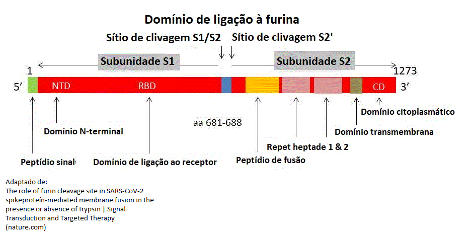 RTC em português  on X: O primeiro infectado